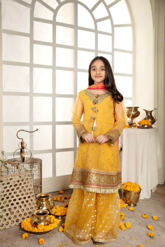AL 3267K – Kids Wedding Collection