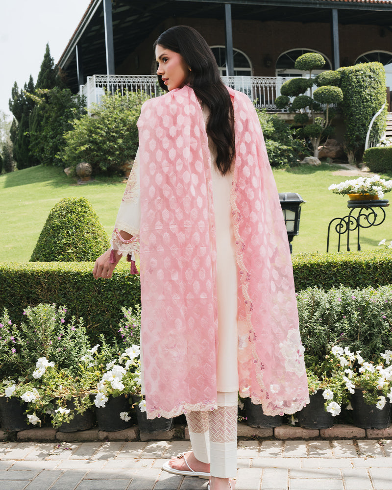 Lilly Luxury Festive Edit AL-1183