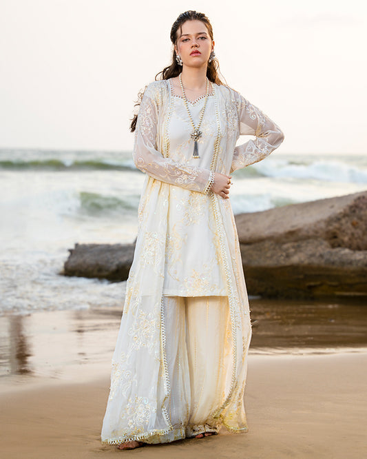 Exclusive Edition AN-133