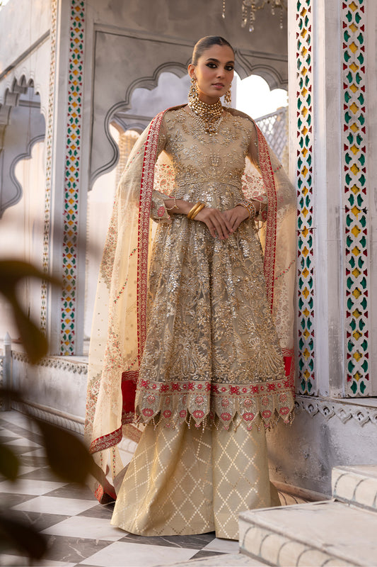 Luxury Edition AR 72