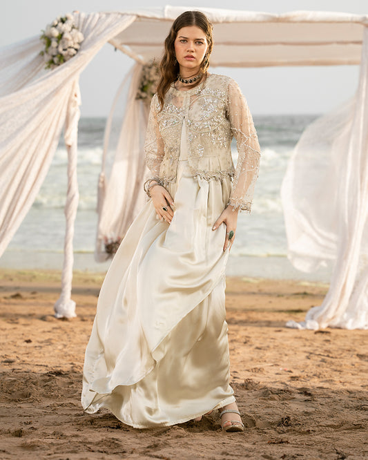 Exclusive Edition AN-132