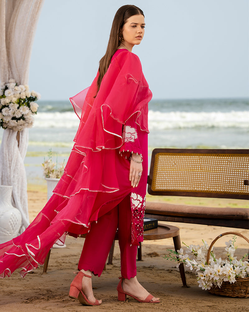 Exclusive Edition AN-137