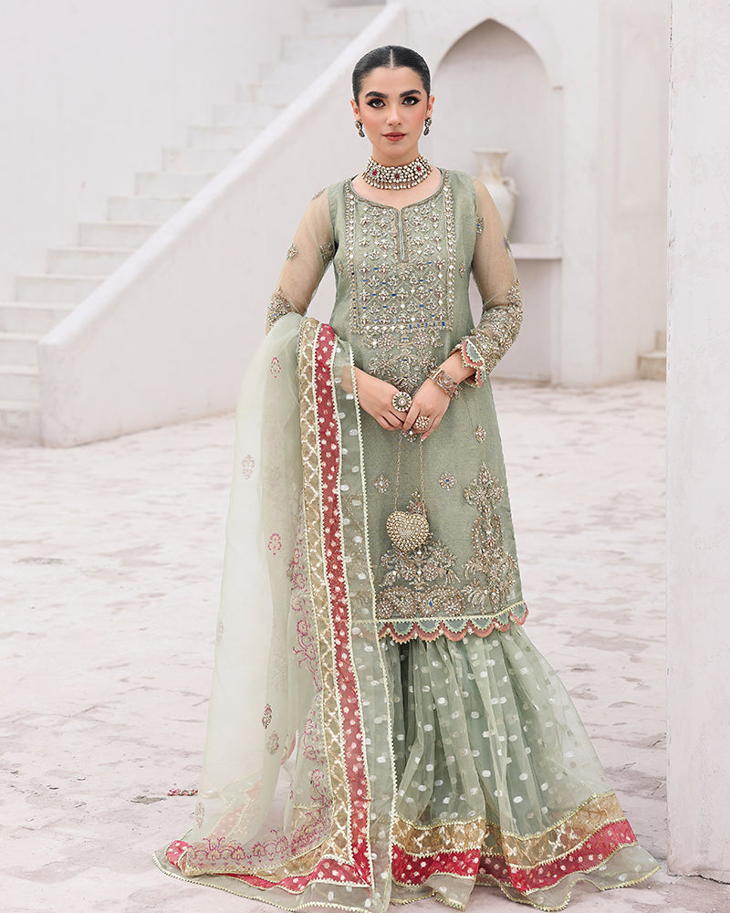 AL-4148 Embroidered Net Gharara