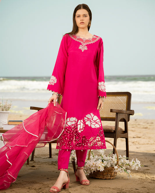 Exclusive Edition AN-137