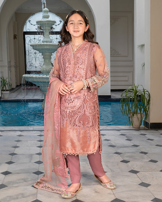 Organza Shirt with Velvet Border AL-3884K (Dusky Pink)