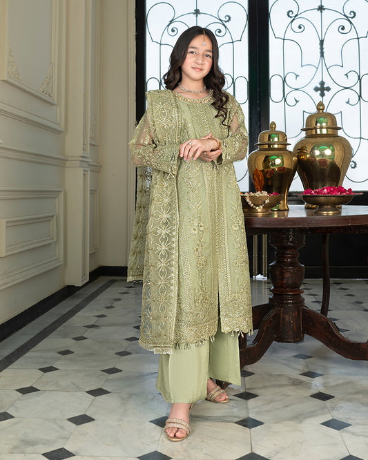 Organza Long Shirt with Plazo AL-3881GK