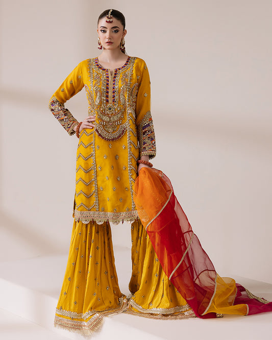 Organza Mehndi Gharara AL-4124