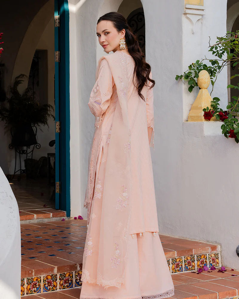 Aurea Premium Cotton Chikankari AL-1118