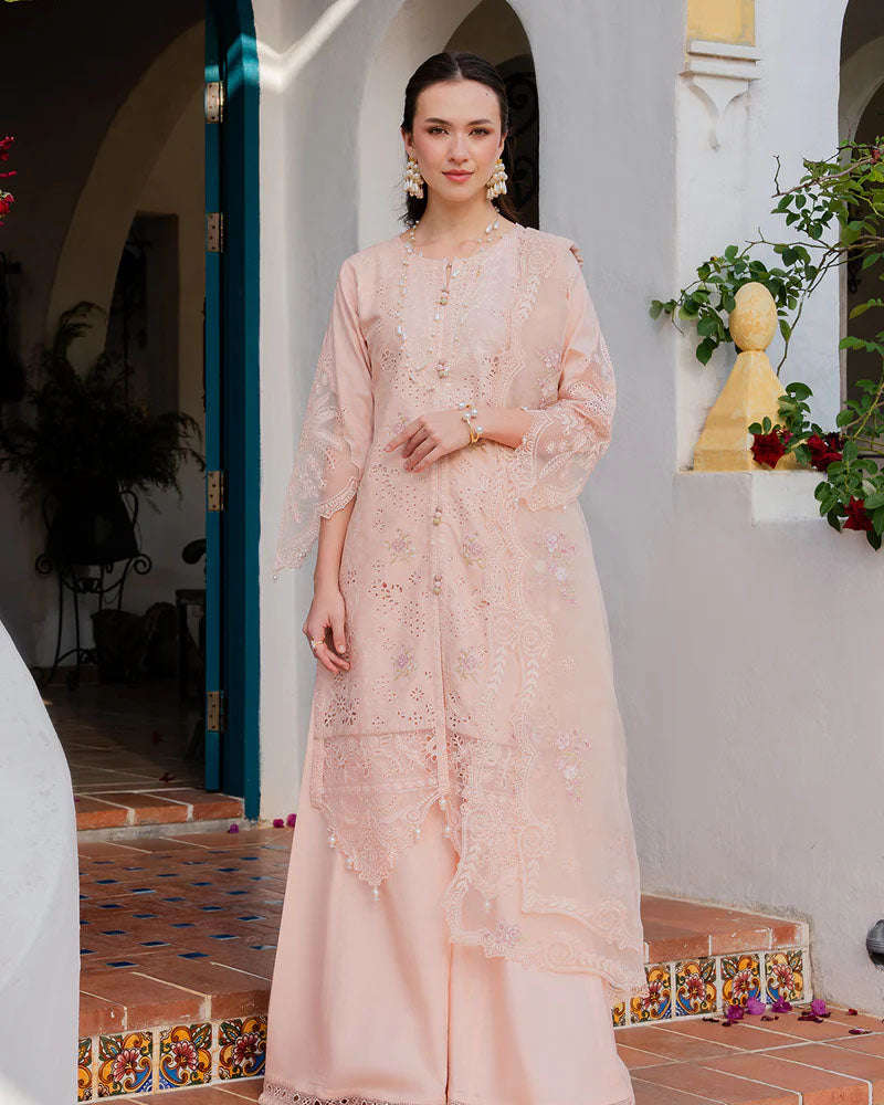 Aurea Premium Cotton Chikankari AL-1118