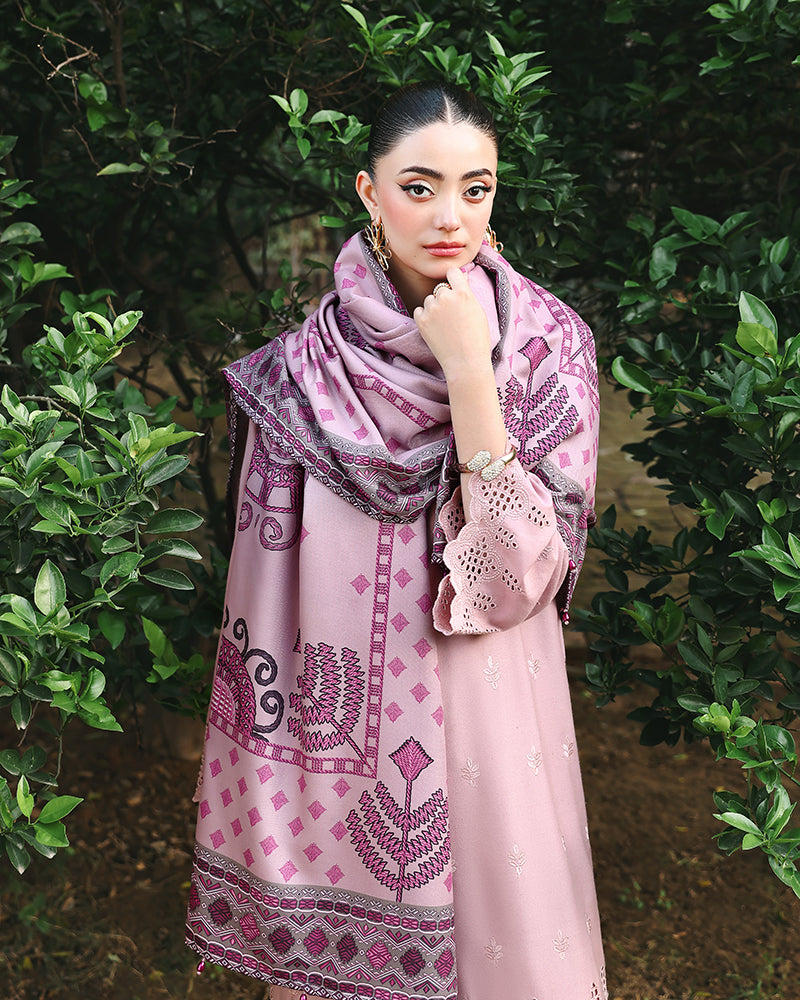 AL-1126 Dhanak Chikankari Winter Exclusive