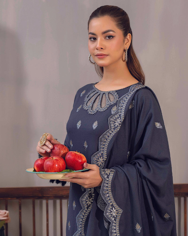 HDA 28 Embroidered Dhanak