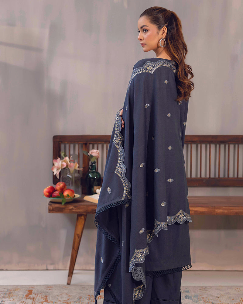 HDA 28 Embroidered Dhanak