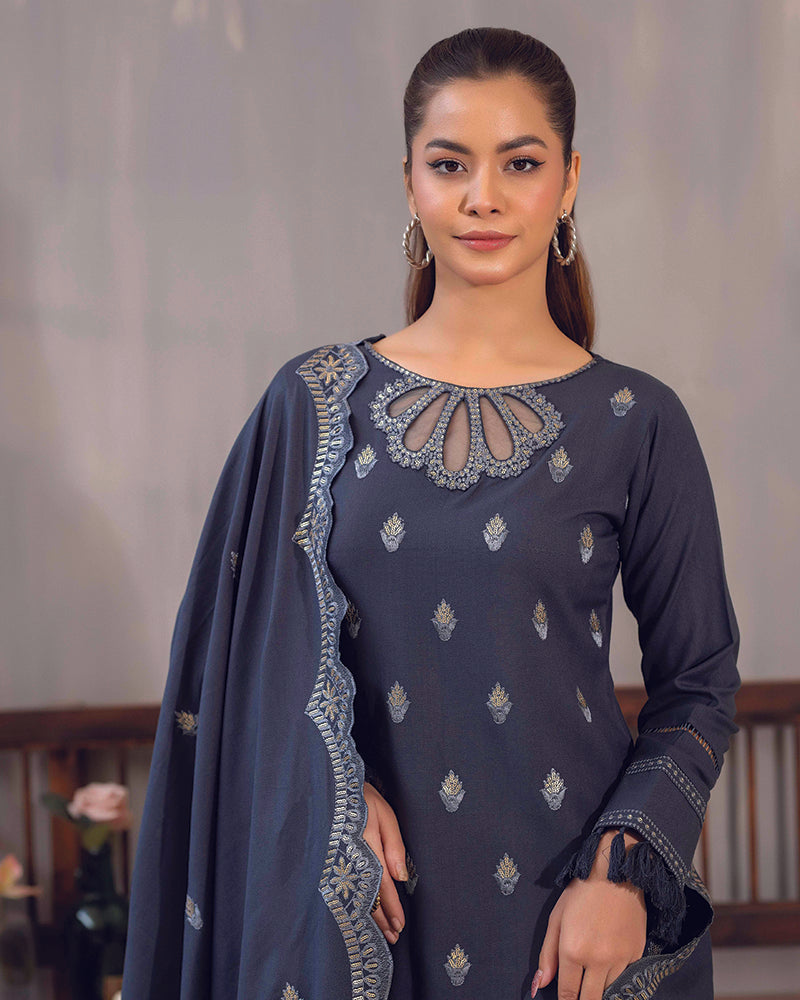 HDA 28 Embroidered Dhanak
