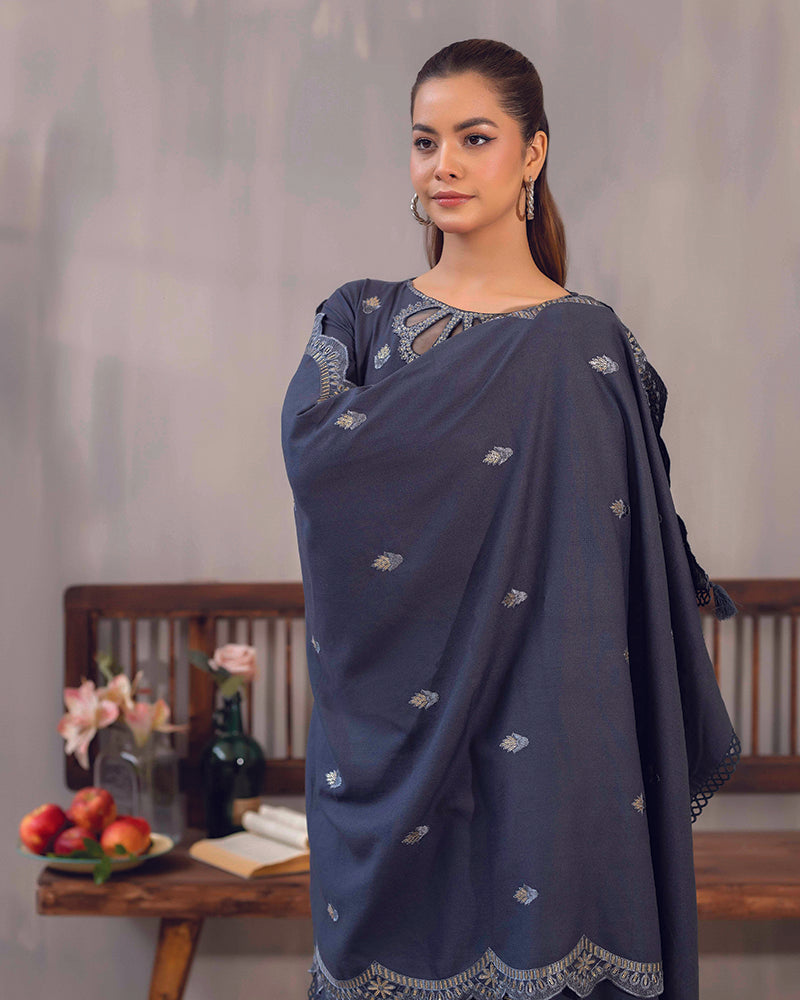 HDA 28 Embroidered Dhanak