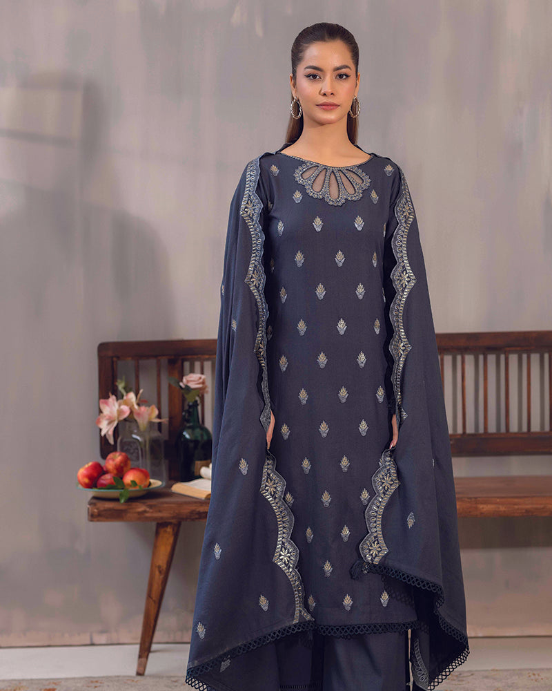 HDA 28 Embroidered Dhanak