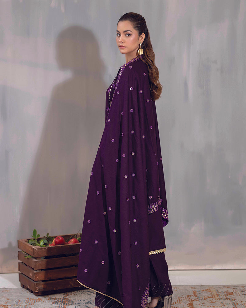 HDA 29 Embroidered Dhanak