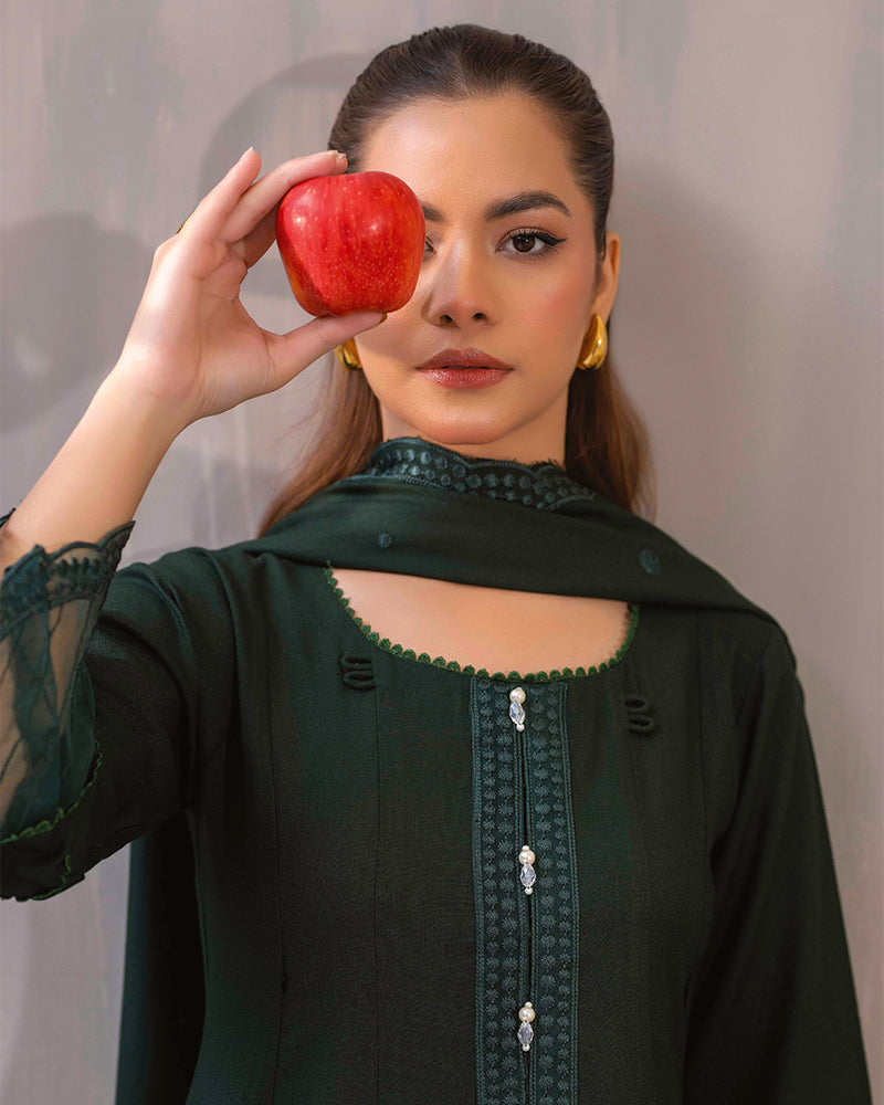 HDA 31 Embroidered Dhanak