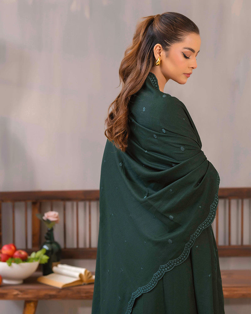 HDA 31 Embroidered Dhanak
