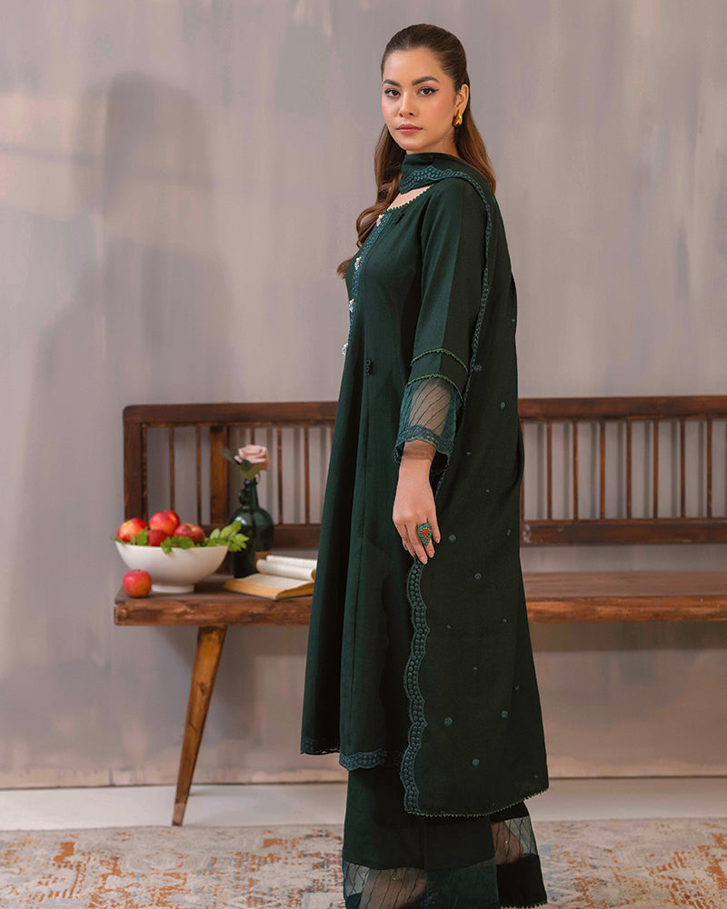 HDA 31 Embroidered Dhanak
