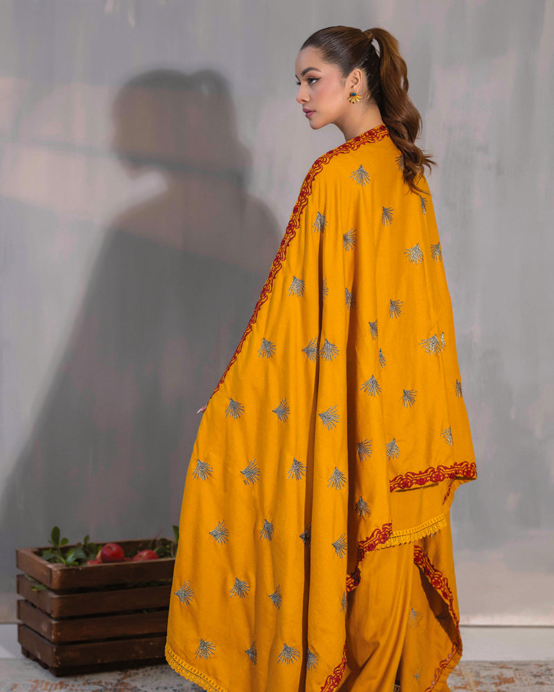 HDA 30 Embroidered Dhanak