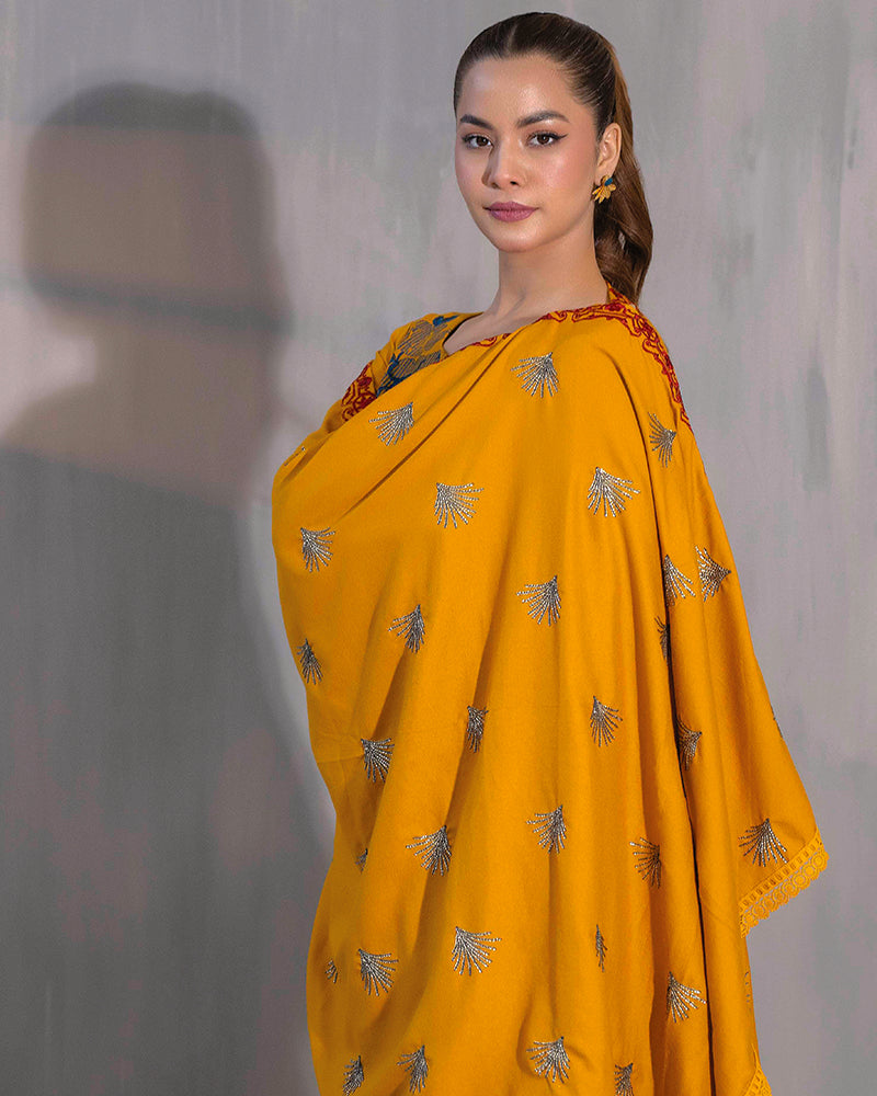 HDA 30 Embroidered Dhanak