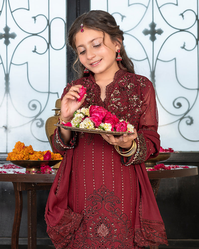 Chiffon Chikankari AL-4073MK