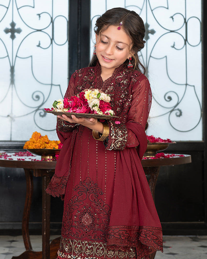 Chiffon Chikankari AL-4073MK