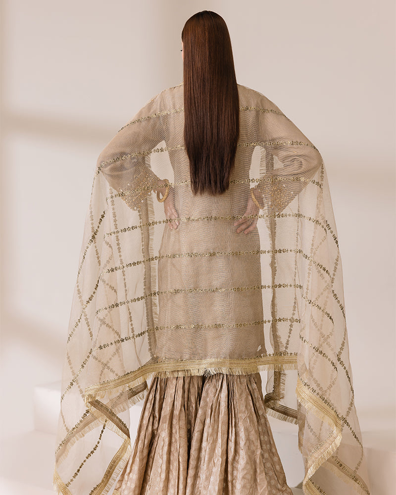 Masoori Net Gold Gharara AL-4178